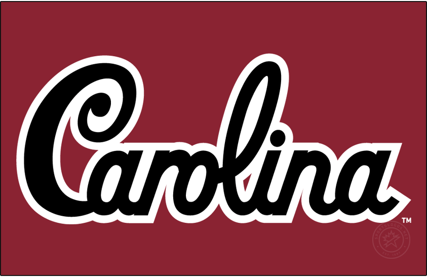 South Carolina Gamecocks 2018-Pres Wordmark Logo iron on transfers for clothing